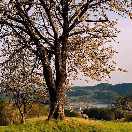 Grete Guest house Stubenberg