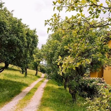 Grete Konukevi Stubenberg