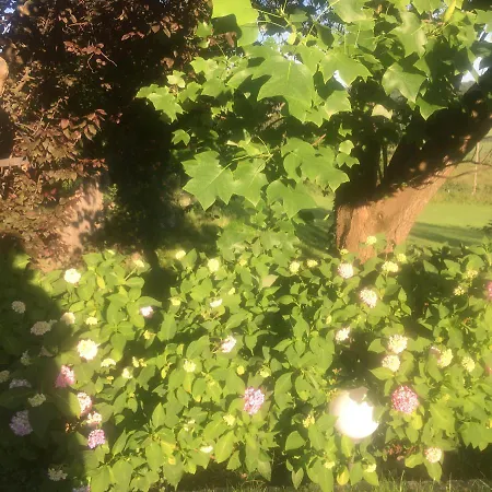 Grete Vendégház 3*