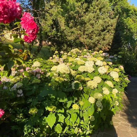 Konukevi Grete Stubenberg