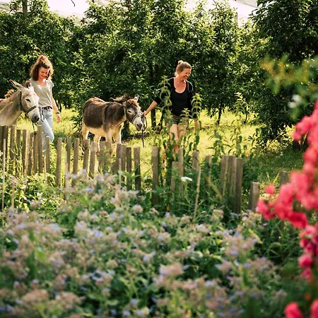 Grete 3* ستوبيبرغ