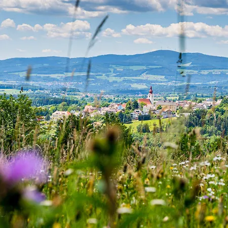 Guest house Grete 3*