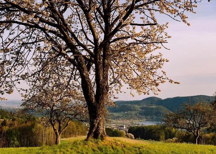 Grete بيت ضيافة ستوبيبرغ