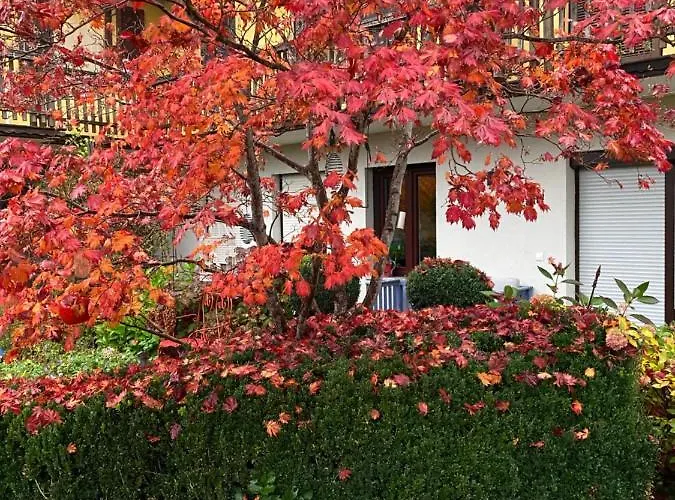 Casa de hóspedes Grete Stubenberg