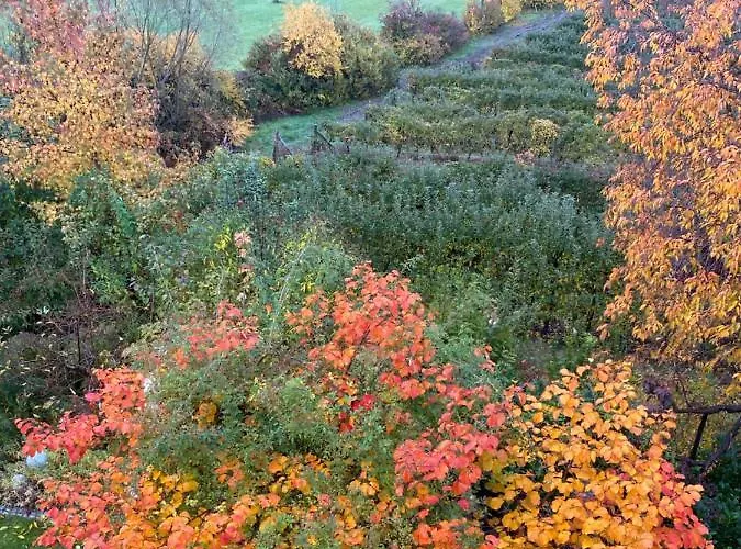 Grete Casa de hóspedes