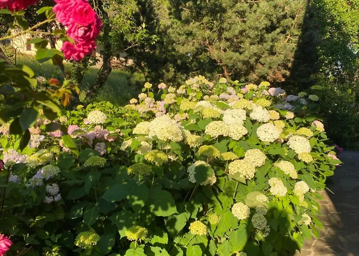 بيت ضيافة Grete ستوبيبرغ