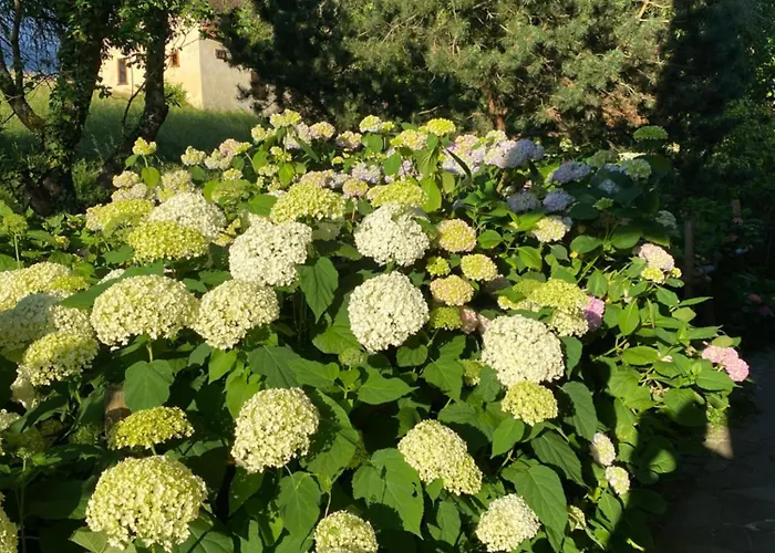 بيت ضيافة Grete ستوبيبرغ