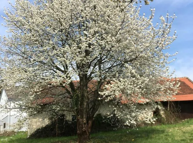 بيت ضيافة Grete